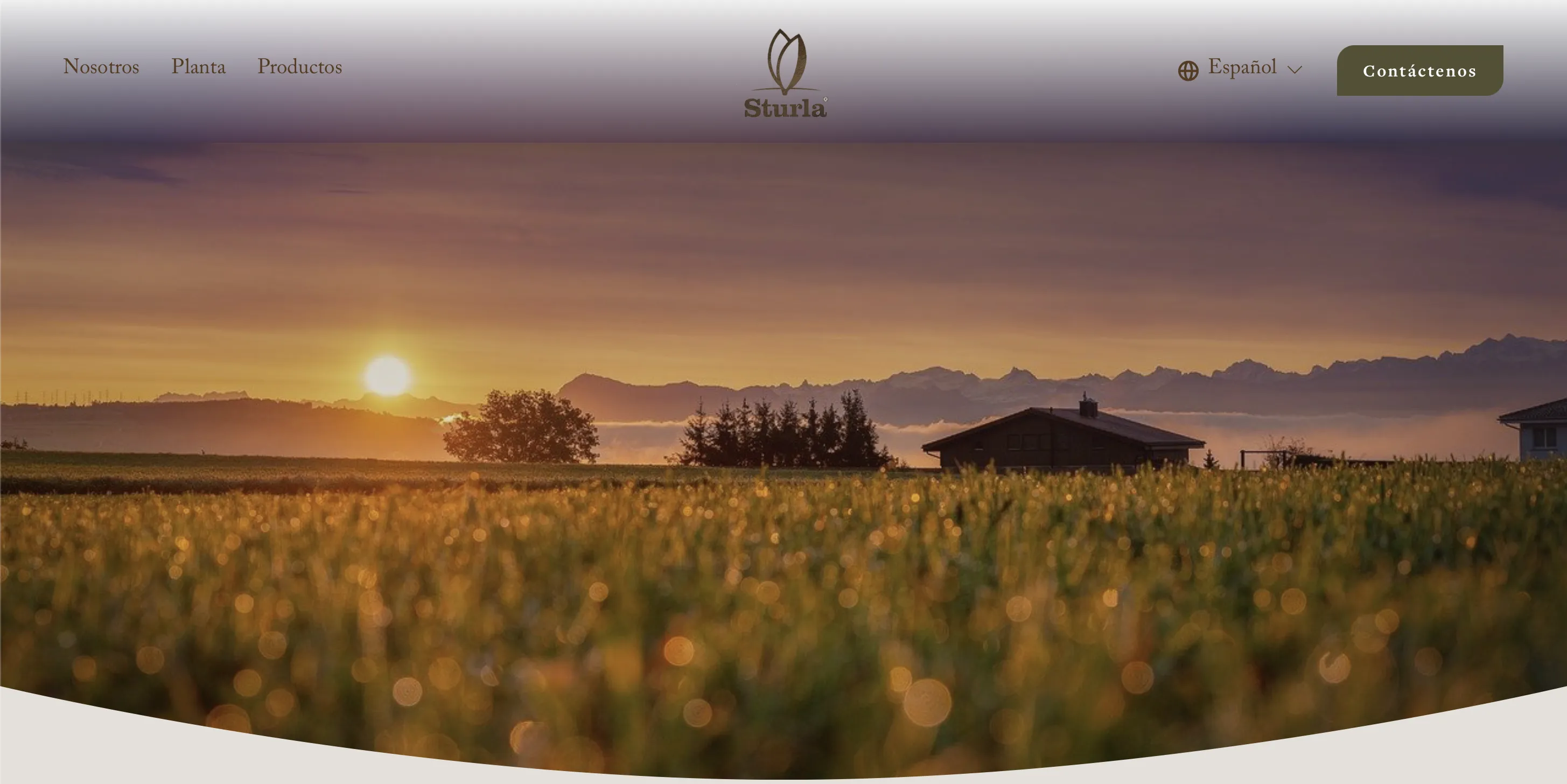 Proyecto Alimentos Sturla